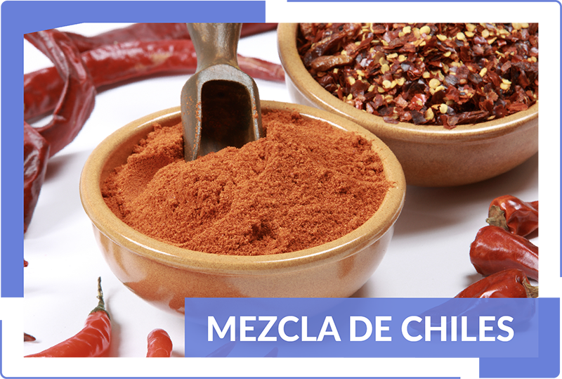 Gritsa México